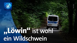 Polizei stellt Suche ein: \