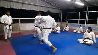 JKA Kumite combination training as basics.