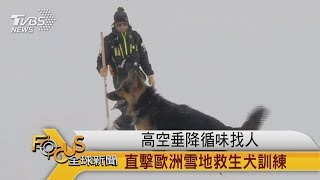 FOCUS／高空垂降循味找人　直擊歐洲雪地救生犬訓練