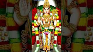 #devotionalsongs #tamilkadavulmurugar #vetrivelmuruganukkuarogara #lordmurugansong#marudhamalai