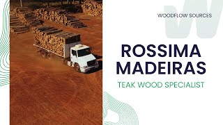 Exploring Rossima: Inside a Teak Wood Sawmill