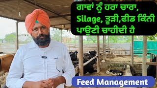 ਗਾਵਾਂ ਨੂੰ ਹਰਾ ਚਾਰਾ,Silage, ਤੂੜੀ,ਫੀਡ ਕਿੰਨੀ ਪਾਉਣੀ ਚਾਹੀਦੀ ਹੈ । Feed Management | @dairymaster3446