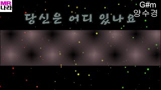 당신은어디있나요-양수경 전문가,프로용 반주 MR,노래방, 멜로디제거 (엠알나라)