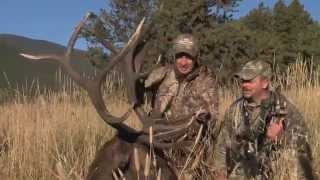 David Blanton Arrows Colorado Bull Elk At 8-Yards!