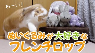 大きなうさぎとぬいぐるみたちの日々