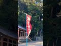 往馬大社へぶらり散歩♫ 生駒市 往馬大社 生駒 奈良県 生駒神社 七五三 japan nara ikoma