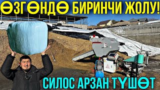 АРЗАН ТОЮТ ЧӨПТӨН АРЗАН ТҮШӨТ 🤯 #байтв