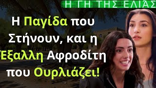 Η Γη της Ελιάς Spoiler: Η Παγίδα που Στήνουν, και η Έξαλλη Αφροδίτη που Ουρλιάζει! Δ Κύκλος