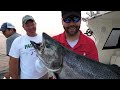 lake ontario salmon fishing july 2011