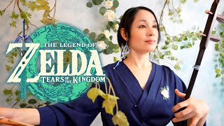 The Legend of Zelda Tears of the Kingdom / Erhu Cover