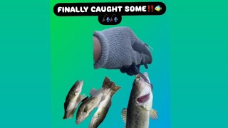 FINALLY CAUGHT SOME DANG FISH MAN!!!