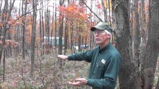 I Invited The DCNR County Forester Over To Talk About Land Management