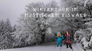 WINTERTOUR im mystischem EISWALD - mystic NARNIA