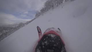 スノーモービル　2020　1月19日　北海道