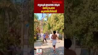 ഇടഞ്ഞ ആന 14 കിമീ ഓടി | തൃശൂർ | ആന