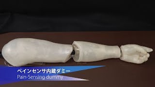 【バイオニックヒューマノイド】ペインセンシングダミー