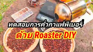 Coffee Roaster DIY ทดสอบคั่วกาแฟ (Peaberry Bean)