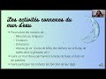 comment construire des murs d eau pour les enfants webinaire nalu Éducation