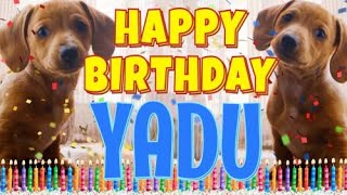 Happy Birthday Yadu! ( Funny Talking Dogs ) What Is Free On My Birthday