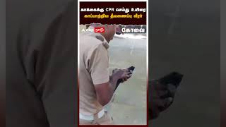 காக்கைக்கு CPR செய்து உயிரை  காப்பாற்றிய தீயணைப்பு வீரர் | Crow rescued by fire man | Coimbatore