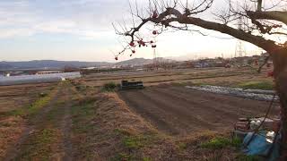 福島県桑折町から見た福島市街方面