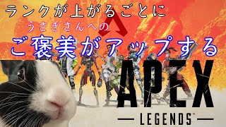 【ガチ初心者が行く】Apex Legends 【明けましておめでとう！！】#apex #goma #配信