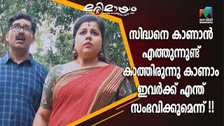 സിദ്ധനെ കാണാൻ എത്തുന്നുണ്ട് കാത്തിരുന്നു കാണാം ഇവർക്ക് എന്ത് സംഭവിക്കുമെന്ന് !! | Marimayam