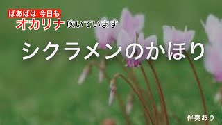 【シクラメンのかほり】オカリナ吹いています。小椋佳さんの名曲ですね。#0004