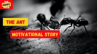 Motivational Story - The Ant