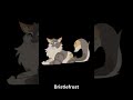 warrior cats who deserved better