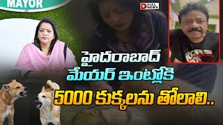 హైదరాబాద్ మేయర్ ఇంట్లోకి 5000 కుక్కలను తోలాలి | RGV Comments on Hyderabad Mayor | Dial News