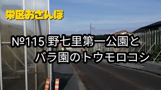 198  栄区おさんぽ　野七里