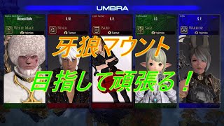 【PS4】ＦＦ１４　【クリスタルコンフリクト】攻略！ＰＶＰに白で参加してきました！牙狼ＧＡＲＯコラボマウント目指して♪