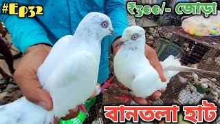 বানতলা হাট | Pigeon Selling ₹300/- জোড়া | Ep32