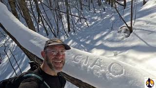 Che cos'è il Komorebi? - What is Komorebi? : Honita yama-本仁田山 (1224m), Kawanori yama-川苔山 (1363m)