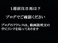 2015函館スプリントＳを分析！（前編）◎当ブログの競馬予想は昨年も年間回収率１００％超えを継続中です！