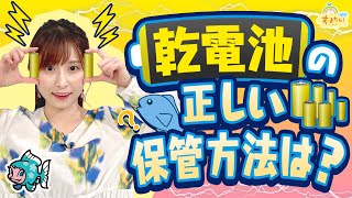 『乾電池の正しい保管方法は？』（す・またん！6/20放送分）