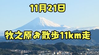 11月21日　牧之原お散歩11km