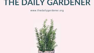 April 3, 2020 Gardening for Resilience, Magnifying Glass for the Garden Tote, Nikolay...