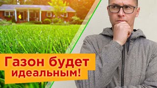 СУПЕР ГАЗОН НАЧИНАЕТСЯ С ВЕСНЫ! 3 важных действия весной, для идеального изумрудно-зеленого газона