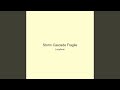 Storm Cascade Fragile
