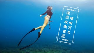 昭明宮沉船/深奧玫瑰花園/自由潛水/小Su自潛日記/Freediving