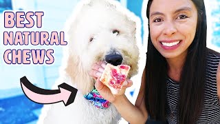 8 Puppy Chew Toys I SWEAR BY 🍖 My Favorite Teething Puppy Chews!