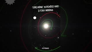 #shorts köpek kemiği 🦴 asteroidi ve onun iki uydusu |  'Dog bone' asteroid  |  @RecepSuluker