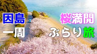 桜満開の因島を一周しながら、桜の綺麗な場所を探すぶらり旅🚘（しまなみ海道サイクリング/ドライビングコース/紹介VLOG ）