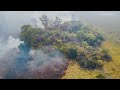 flames rip through iberá national park in argentina