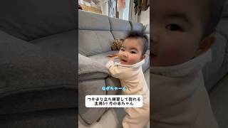 つかまり立ち練習して倒れる生後6ヶ月の赤ちゃん#shorts#baby#Japanese#赤ちゃん#あかちゃん#赤ちゃんのいる生活#赤ちゃんのいる暮らし#育児#子育て