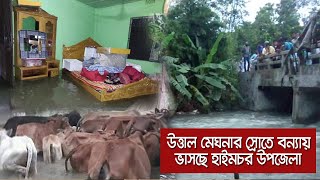 উত্তাল মেঘনার স্রোতে বন্যায় ভাসছে হাইমচর উপজেলা |  AntennaBD.com