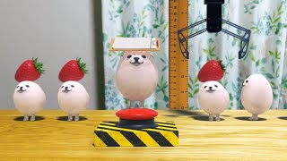 eggdog height in real life