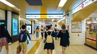 【4K】Ikebukuro Underground (池袋駅の地下通路をウロウロ)